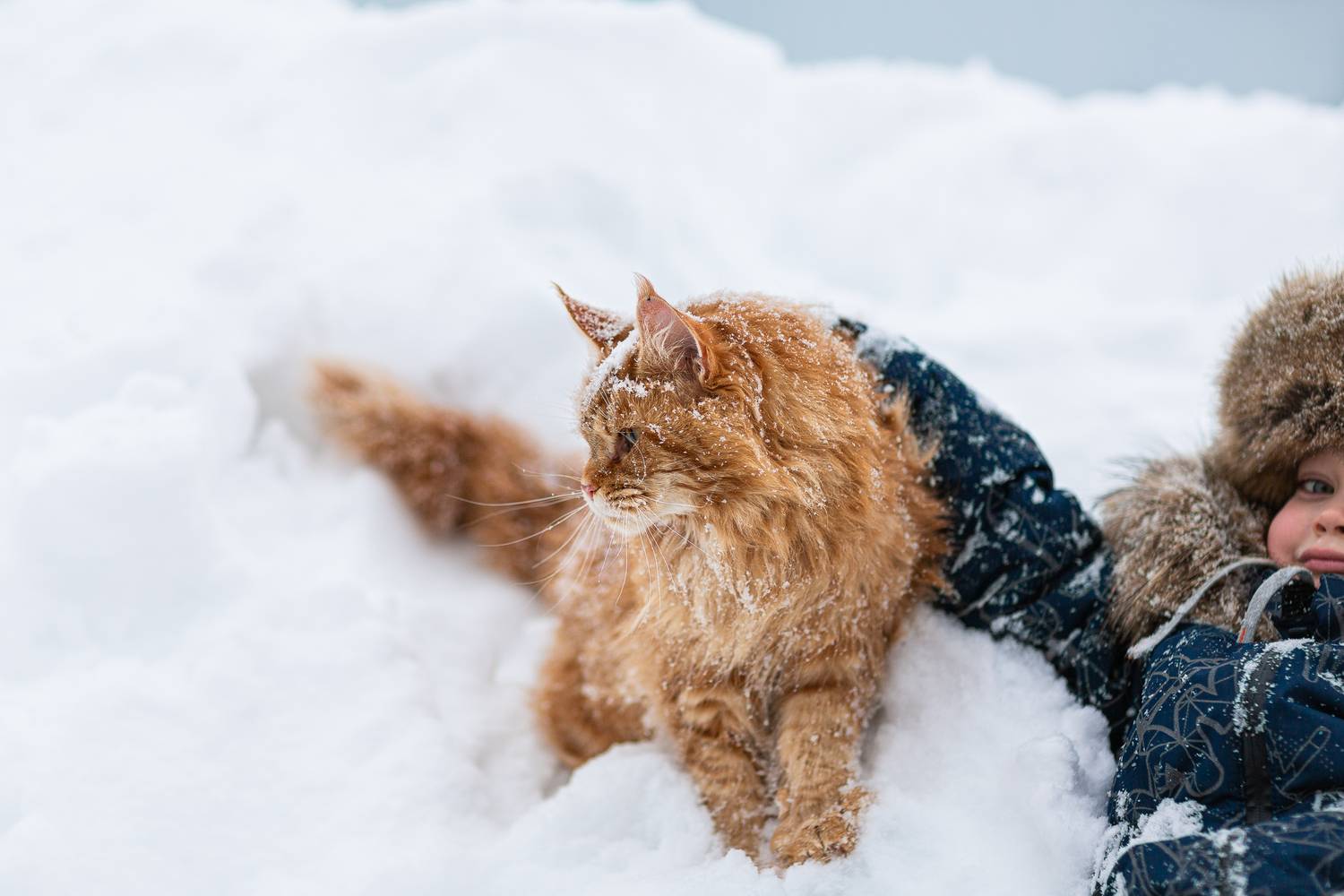 Детская радость и рыжая независимость: история дружбы без условий