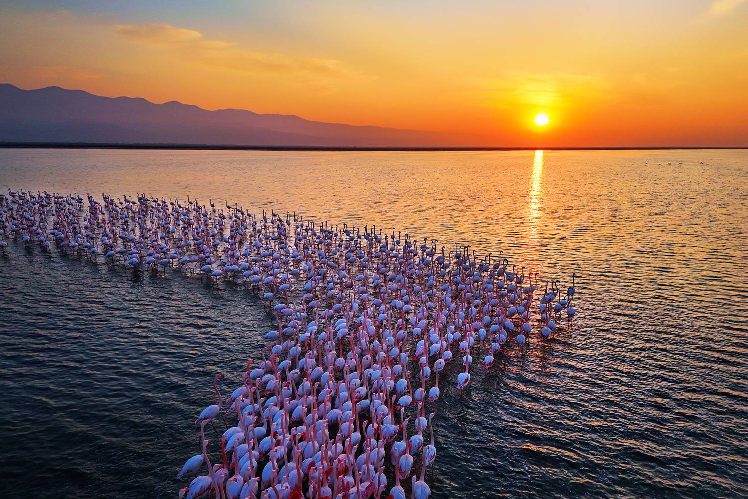 The splendor of the lagoon