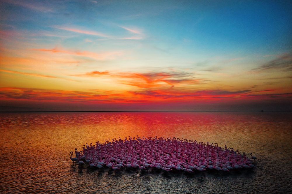 Photograph by mehdi mohebi pour