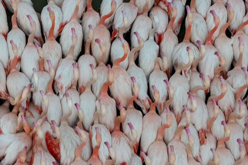 Photograph by mehdi mohebi pour
