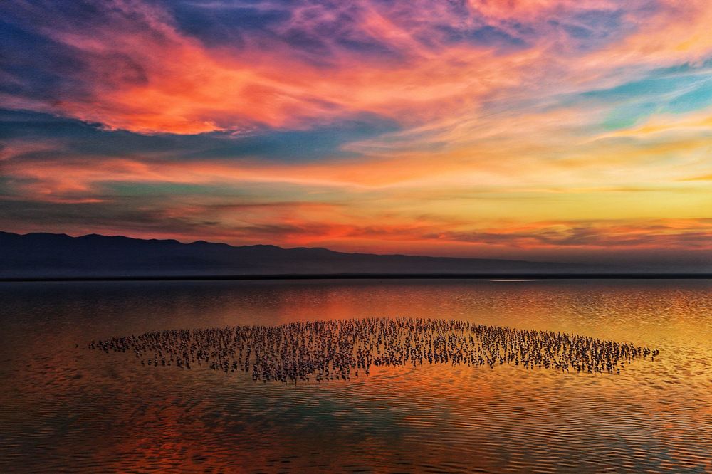 Photograph by mehdi mohebi pour