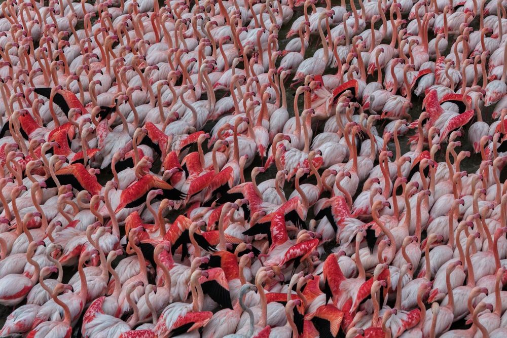 Photograph by mehdi mohebi pour