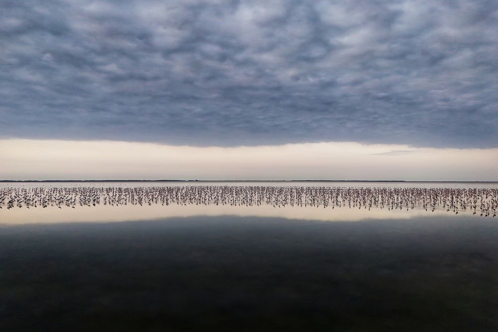 Photograph by mehdi mohebi pour