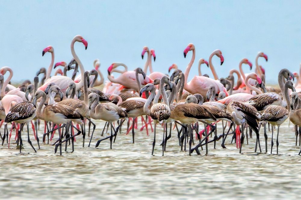 Photograph by mehdi mohebi pour