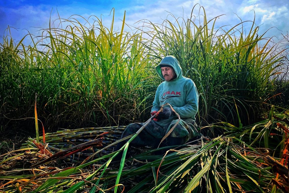 Photograph by mehdi mohebi pour