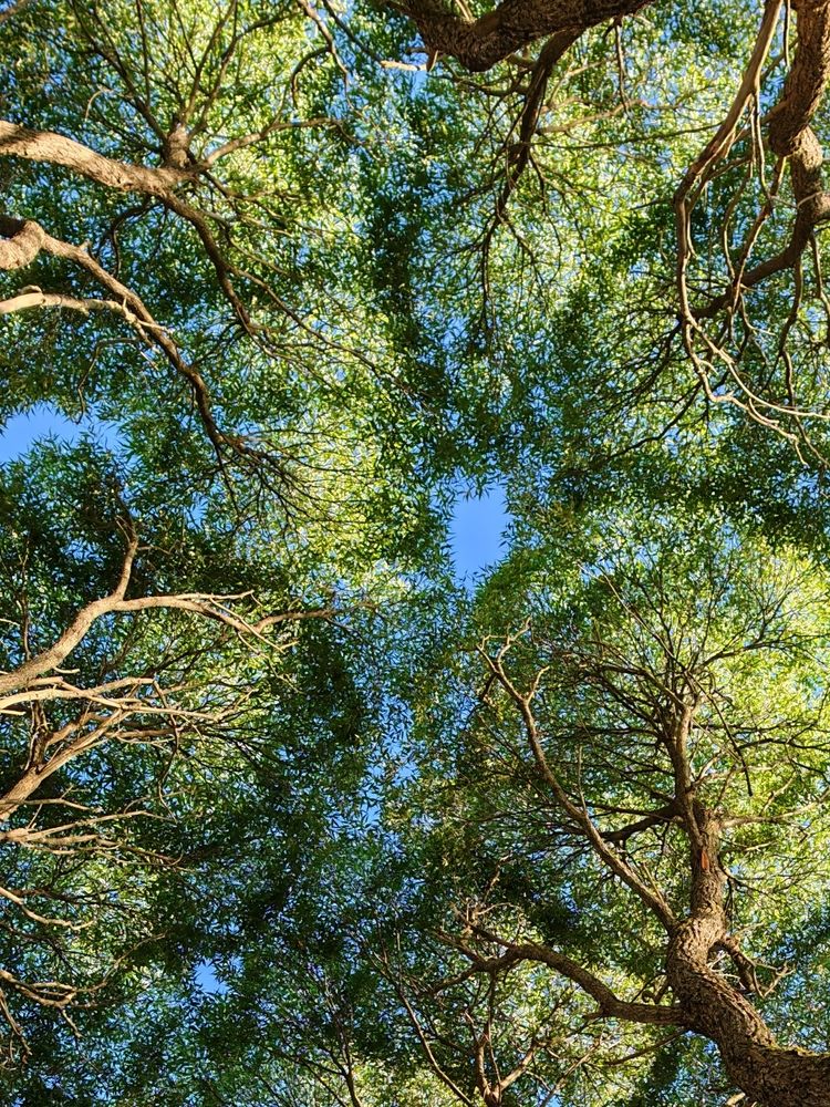 Фотография автора OLga Piirainen