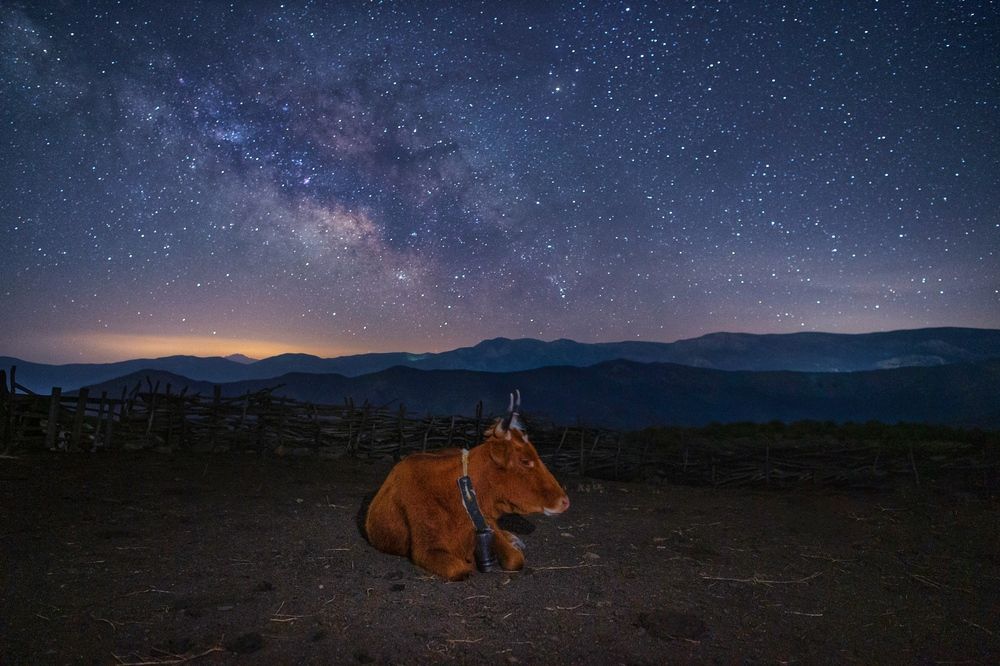 Photograph by mehdi mohebi pour
