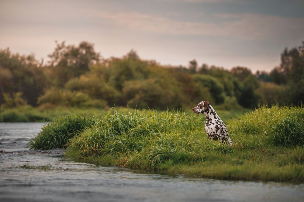 Фотография автора Яна Нарбутович