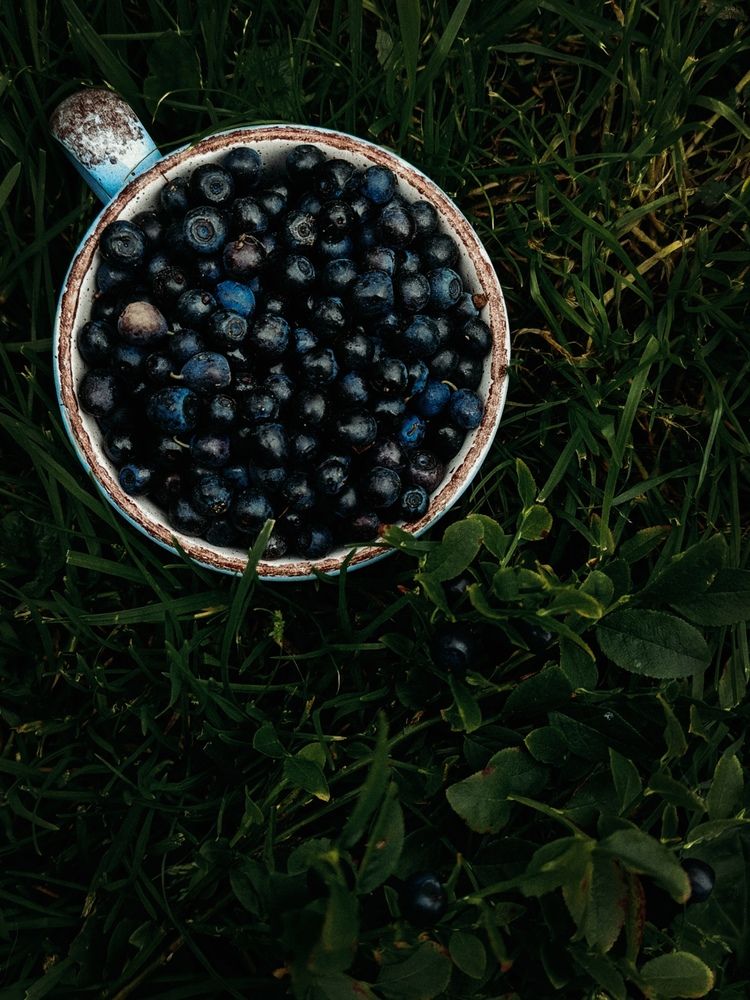 Photograph by Maria Stankevich