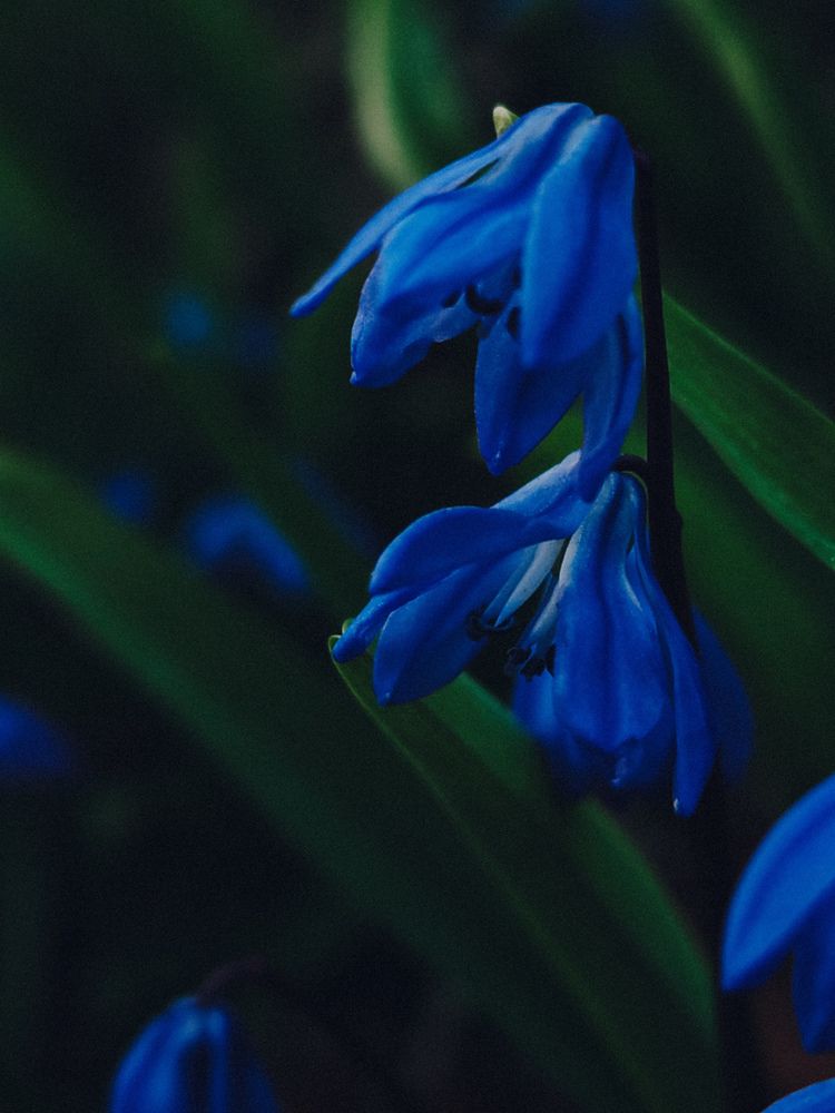 Photograph by Maria Stankevich