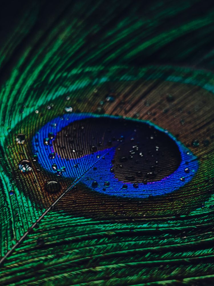 Photograph by Maria Stankevich