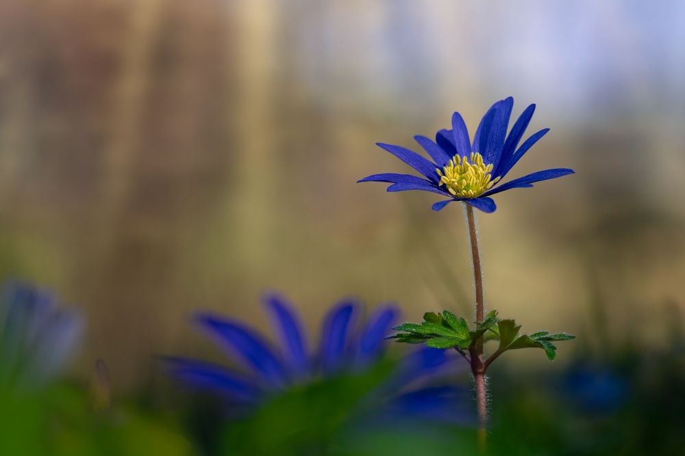 Photograph by Kveta Novotna
