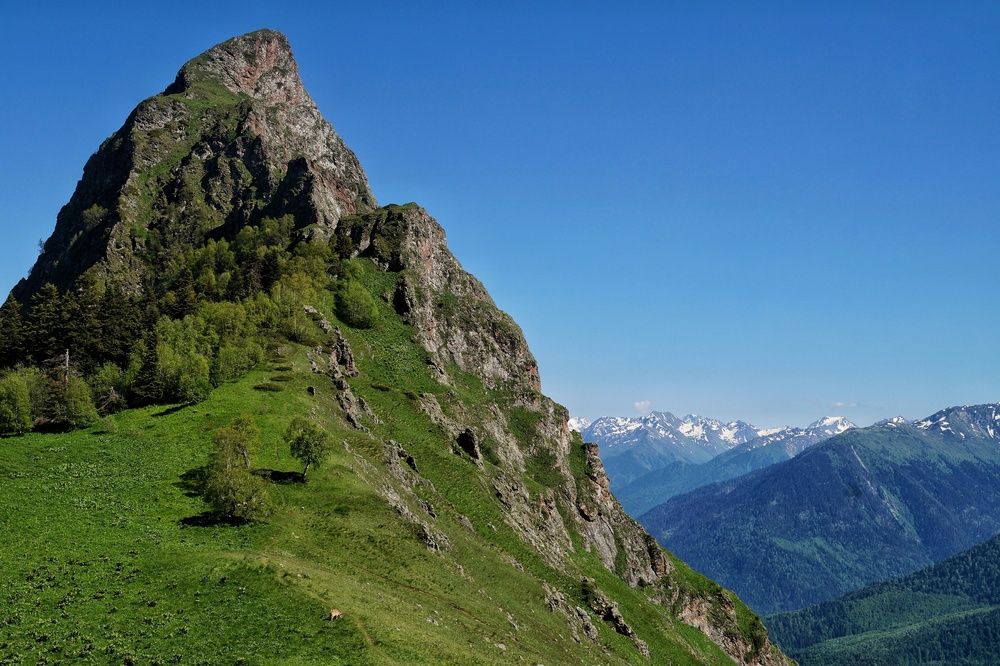 Фотография автора Margarita Teterkina