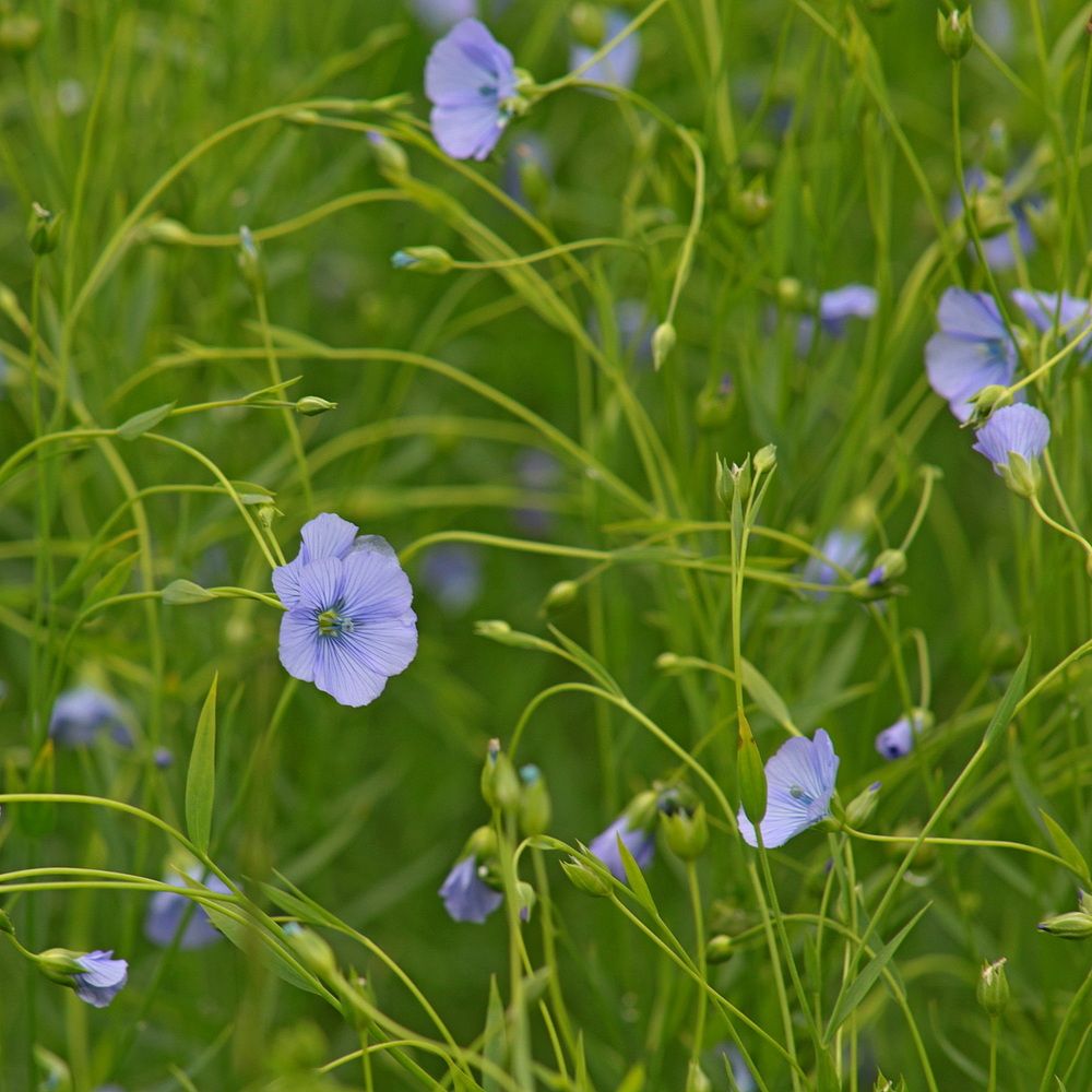 Фотография автора Александр Кожевников