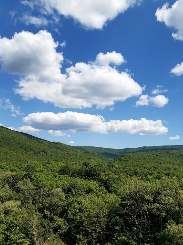 Фотография автора Margarita Teterkina