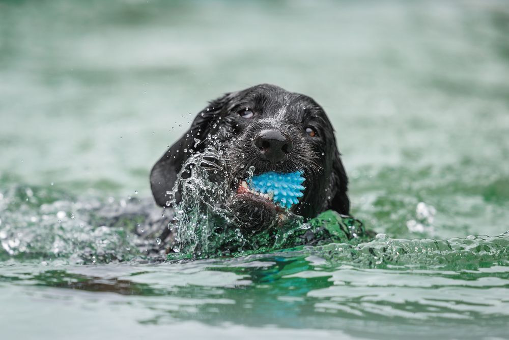 Фотография автора Яна Нарбутович