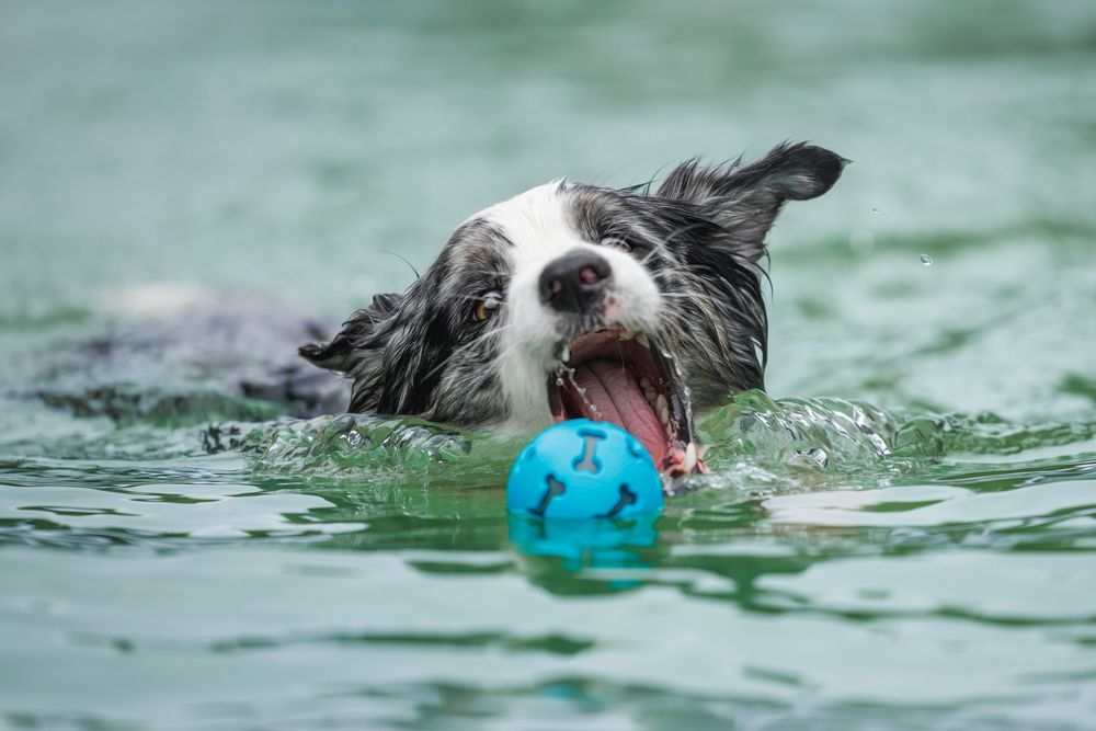 Фотография автора Яна Нарбутович