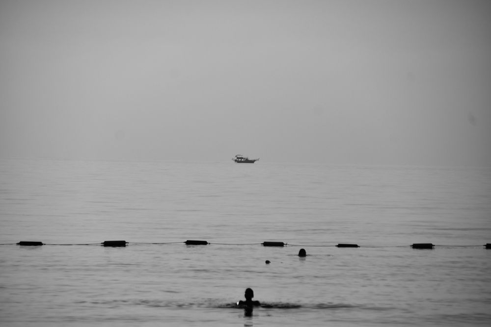 Photograph by Elvira