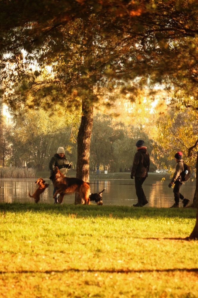 Photograph by Анастасия Юдина