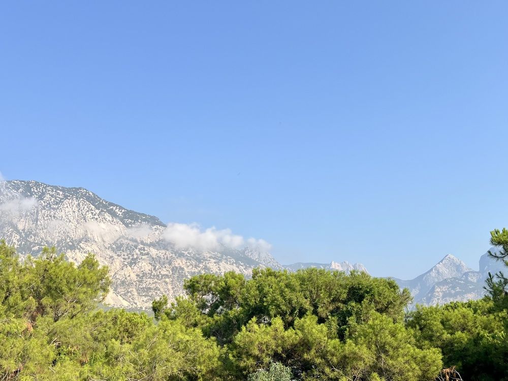 Photograph by Elvira