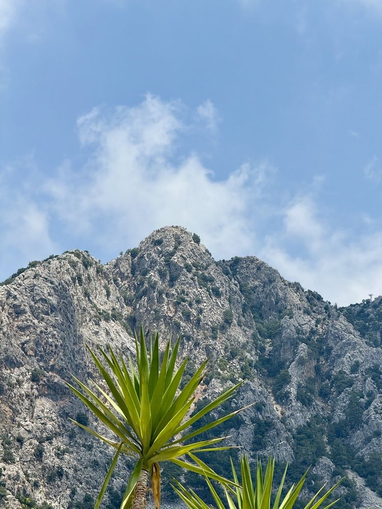 Photograph by Elvira