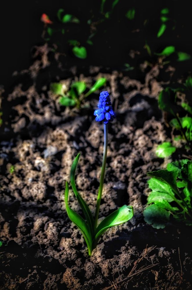 Photograph by Алена Самошина