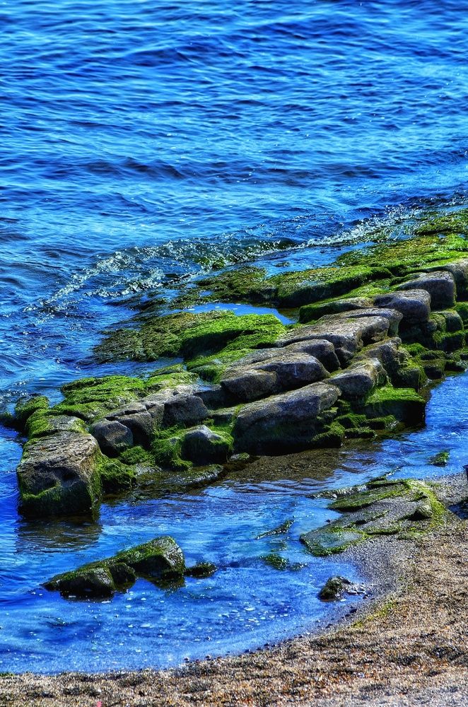 Photograph by Алена Самошина