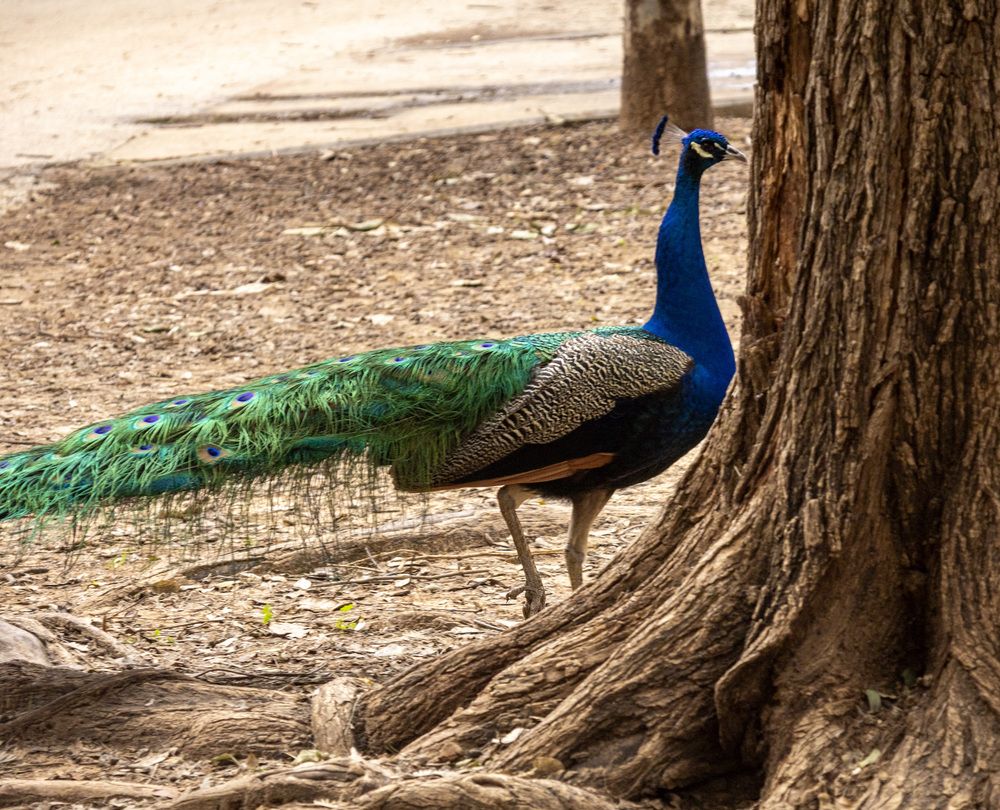 Photograph by Светлана Ханина