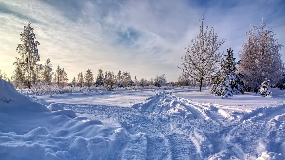 Фотография автора Андрей Хитров