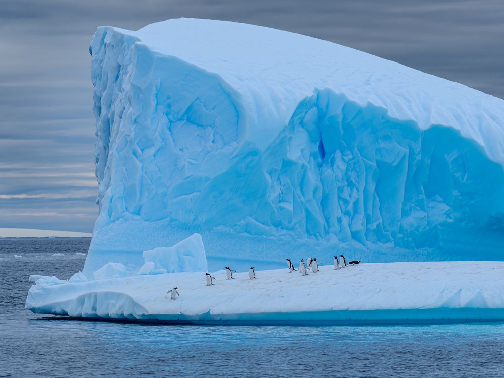 Photograph by Igor Galloway