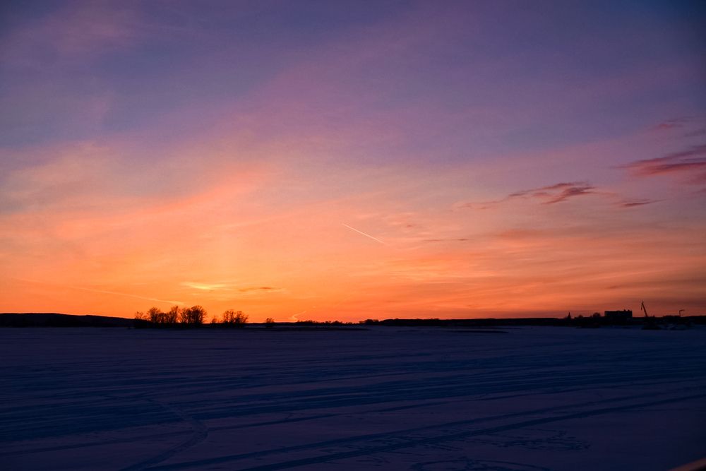 Photograph by Elvira