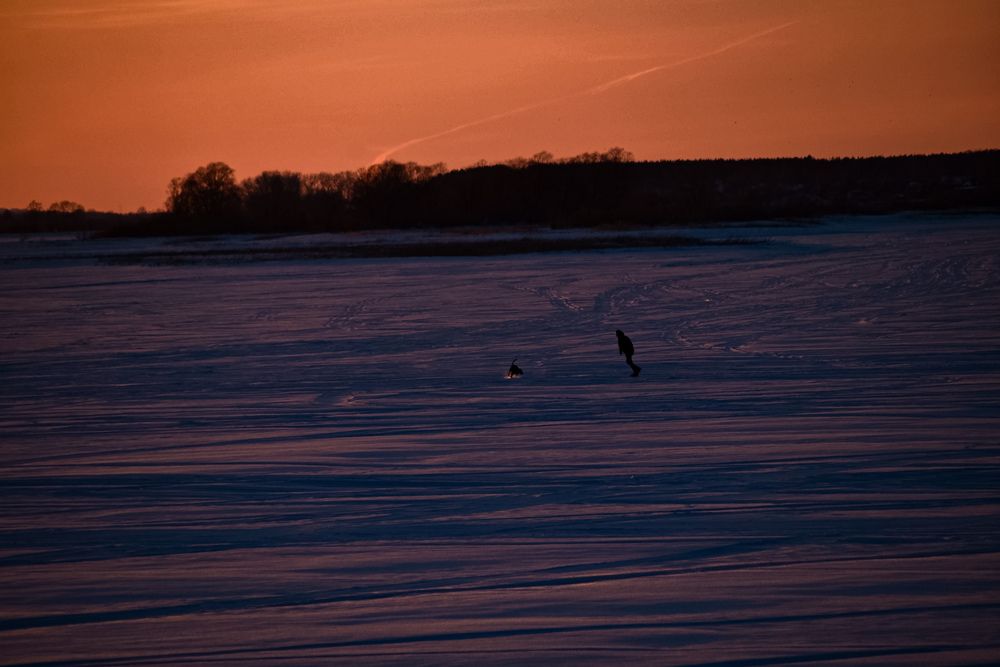 Photograph by Elvira