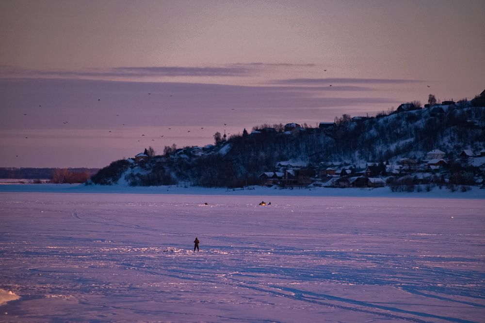 Photograph by Elvira