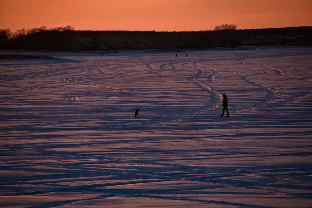 Photograph by Elvira