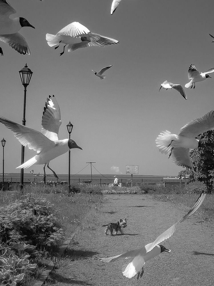 Photograph by Вячеслав Косенков