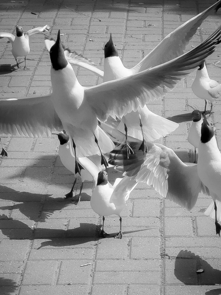 Photograph by Вячеслав Косенков