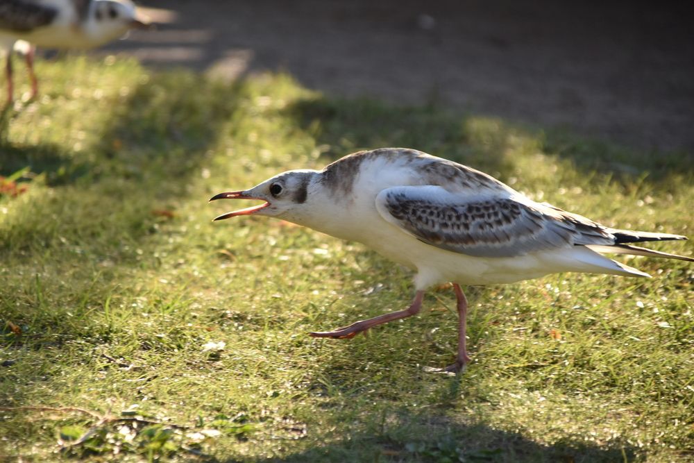 Photograph by Elvira