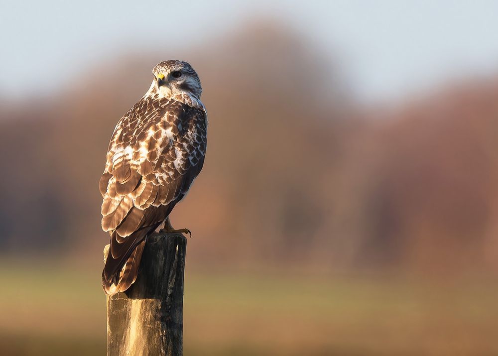 Photograph by Wendy Vanhoudt