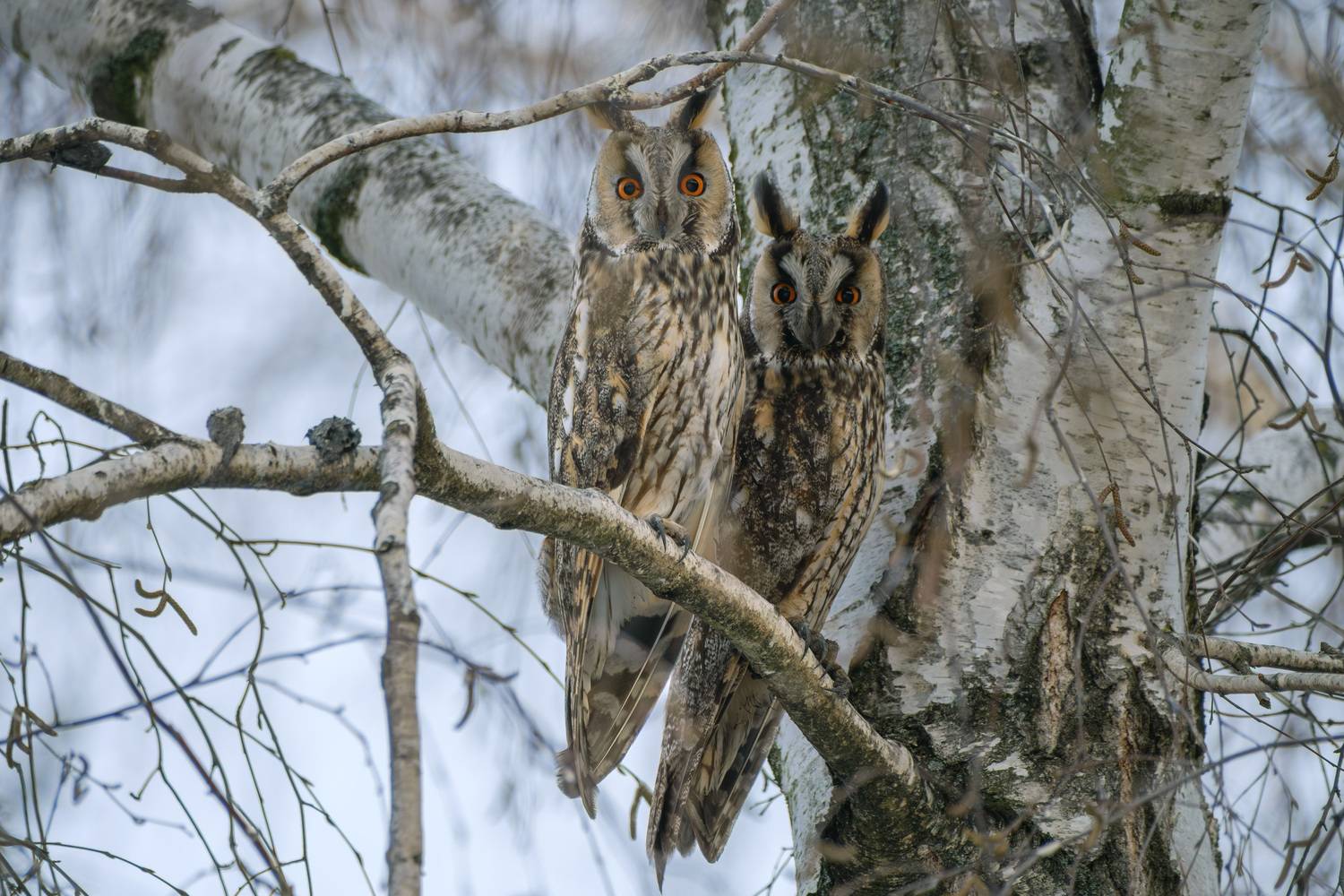 Фотография #13166675