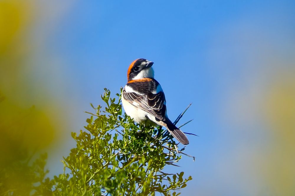 Photograph by Ayoub Kebbour