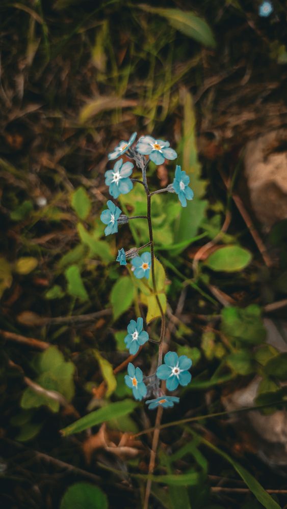 Photograph by Екатерина Никитина