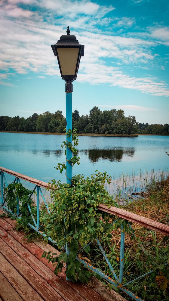 Photograph by Екатерина Никитина