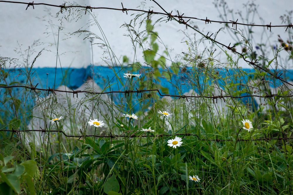 Фотография автора Dimitri Bakhtadze