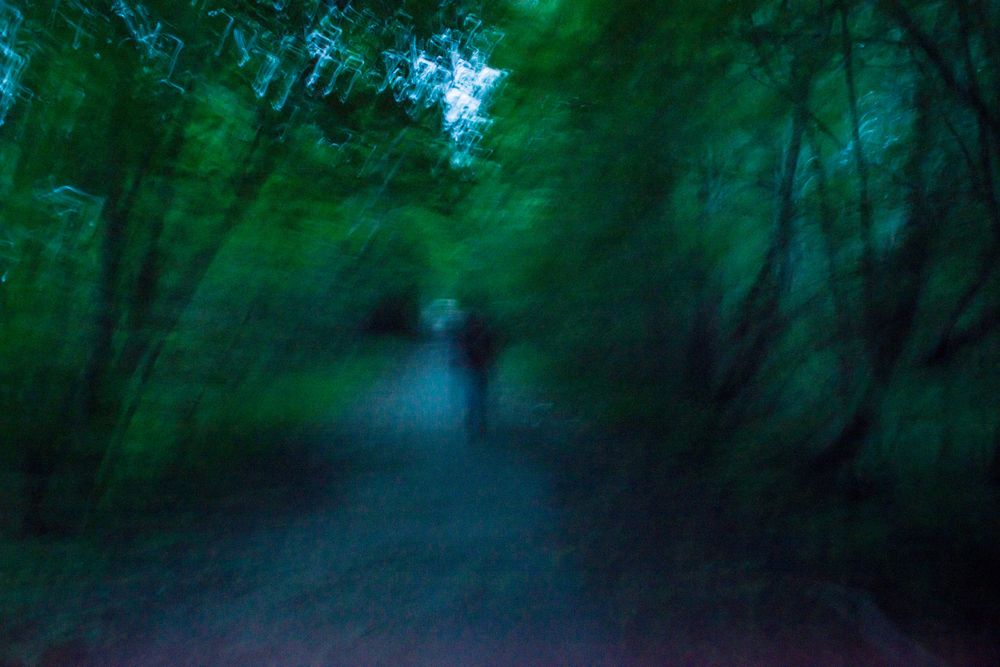 Фотография автора Dimitri Bakhtadze