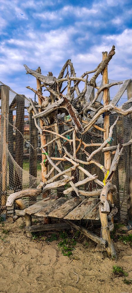 Photograph by Оркина Ксения