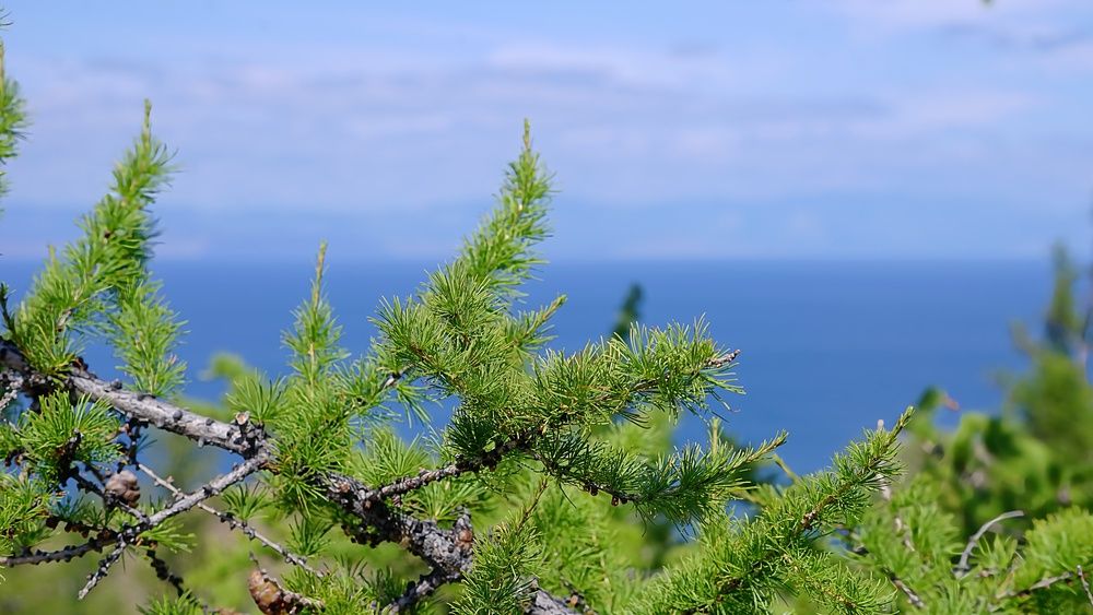 Photograph by Anna Dalinger