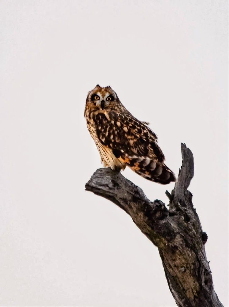 Photograph by Вероника Романенко