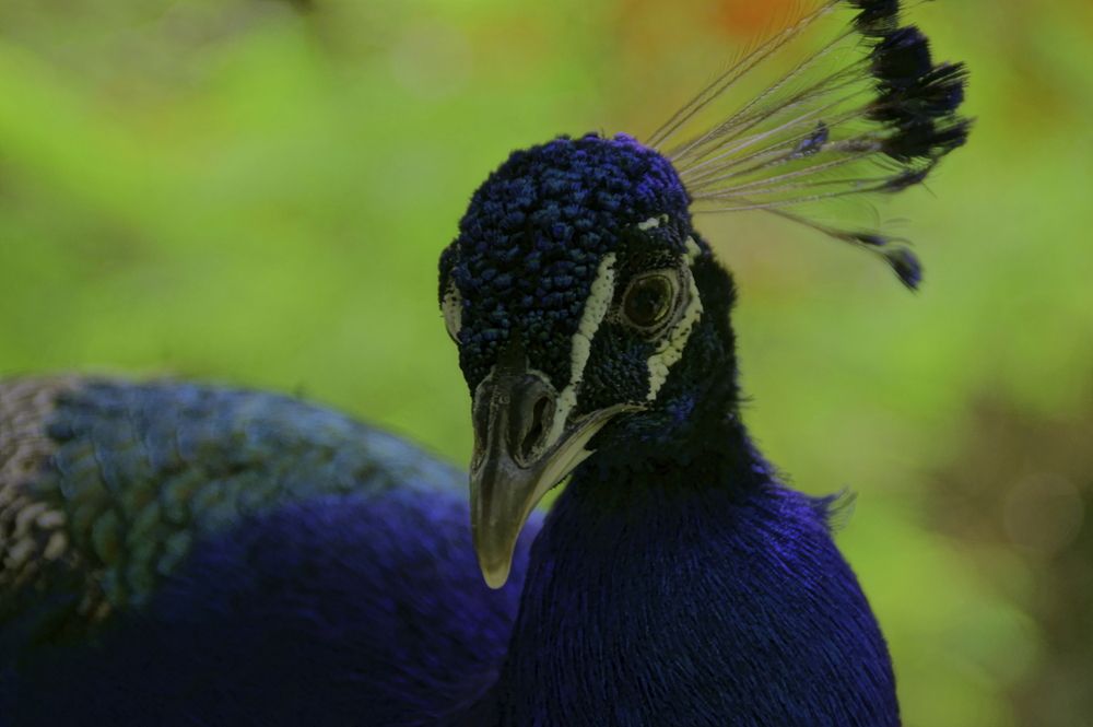 Фотография автора Sergej Roor
