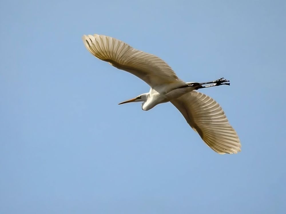 Photograph by Вероника Романенко