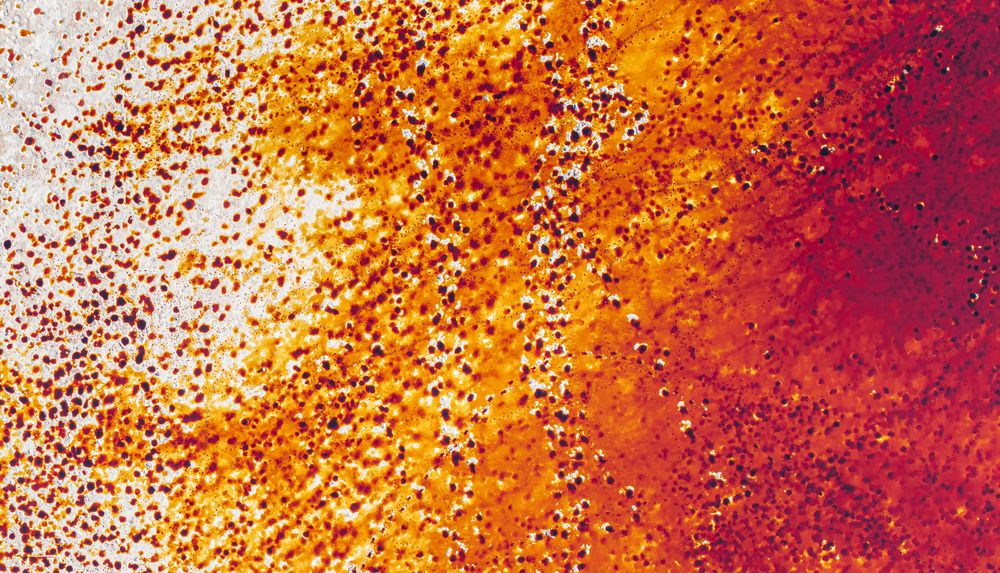 Фотография автора Tímea Ambrus